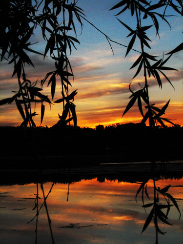 sunset shadow lake willow