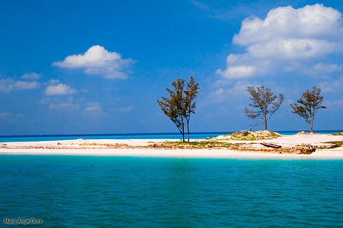 biminiisland ©2013marieangeostré bahamasplagebeachislandîle îlebimini