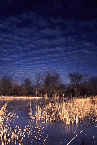 winter ice grass clouds frozen illinois prairie boonecounty kishwaukee distilleryroadconservationarea kishwaukeebottoms