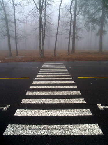 fog arkansas highway7 scenic7 ozarknationalforest
