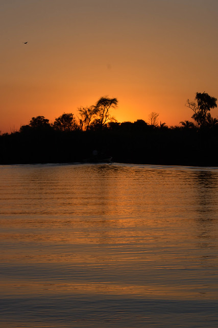 Sunset on the Okavango River