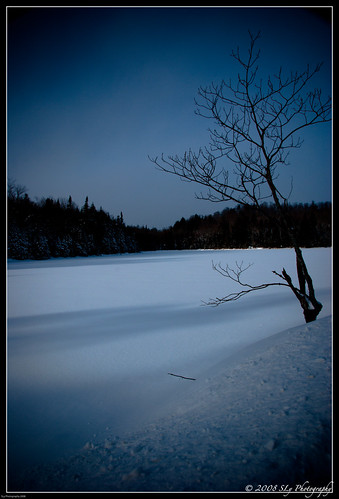 blue winter lake snow cold tree nature landscape frozen darkness quebec 2008 laurentides blueish