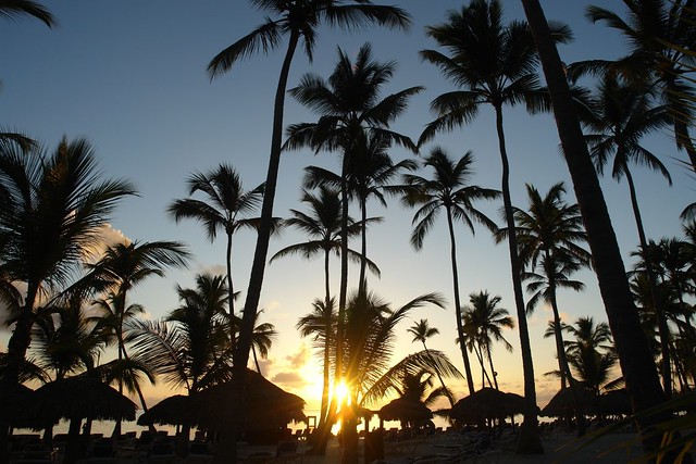 Los Amaneceres en Punta Cana son especiales, el sol nace aquí, los colores son vivos, fuertes, tonos amarillos, azules, rojos ... ver un amanecer en la playa de Punta Cana no tiene precio.