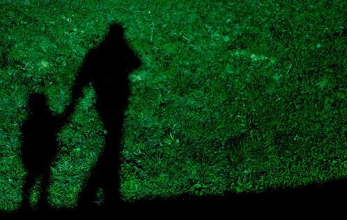 green shadows abigfave colorphotoaward veterinarifotografi