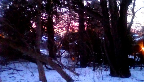 backyard sunset trees snow winter sky menominee uppermichigan flickr365 treemendoustuesday