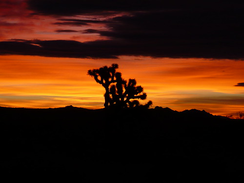 clouds sunrise desert