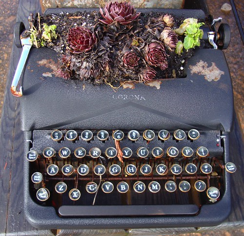 typewriter planter