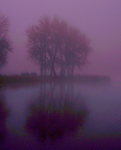 trees lake reflection fog oregon sunrise loonlake silouhette roadtrip2007 november2007 reedsportor