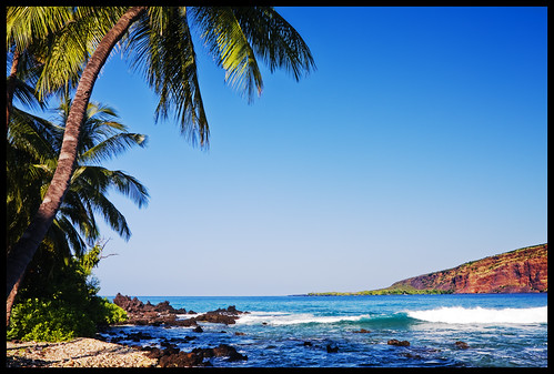beach hawaii bigisland polarized kona kealakekuabay manini 7975b