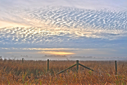 fog sunrise soluppgång dimma bjärred lomma naturreservat fågelskådning fotoforum gryning löddeå lommakommun löddeåsmynning höstmorgon