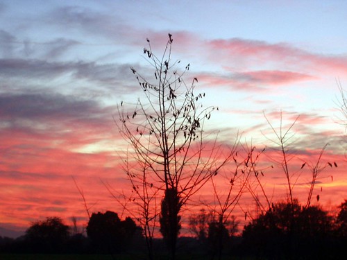 sunset sky italy tree clouds landscape geotagged italia emilia experimentation emiliaromagna reggio reggioemilia pianurapadana cavriago quercioli perfectsunsetssunrisesandskys tolemanhart