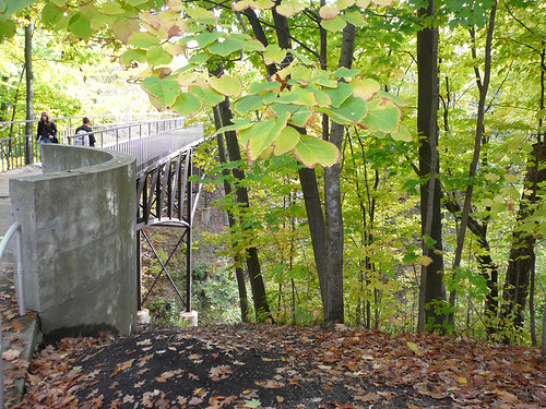 bridge fall leaves