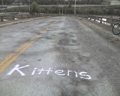someone ran over kittens