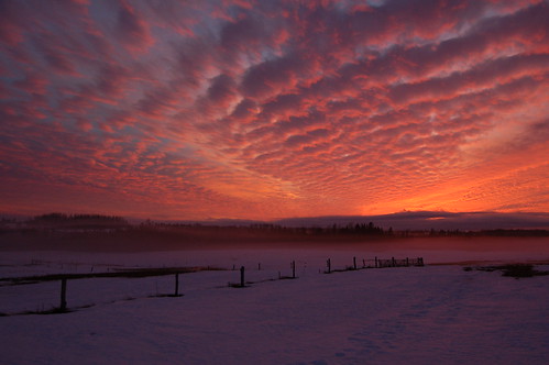 sunset canada fence princeedwardisland pei albioncross