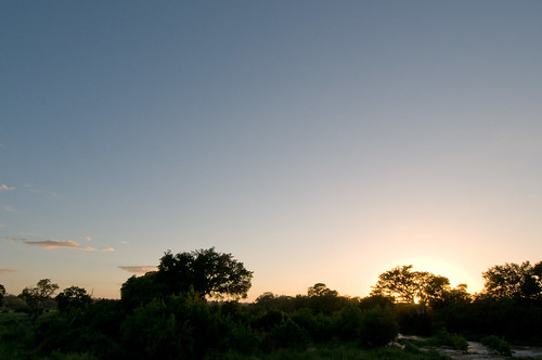 sunrise southafrica dawn krugernationalpark kruger gamereserve