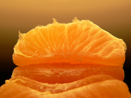 orange macro nature closeup tangerine fruit zoom mikan mandarin citrus mandarino arzergrande mandarancio macrophotosnolimits reeticulata likhangsining
