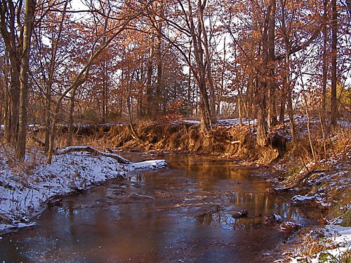 water creek woodland missouri sycamorecreek rocheportmissouri