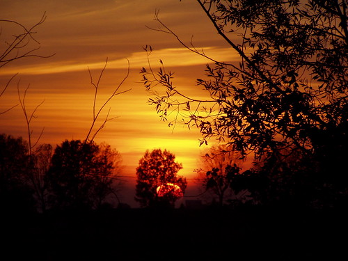 trees sunset sea italy silhouette alberi italia tramonto mare venezia veneto caorle clod79 flickrdiamond