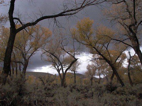 autumn storm fall clouds landscape lumix grey searchthebest nevada roadtrip fortchurchill 395 naturescall pdpnw