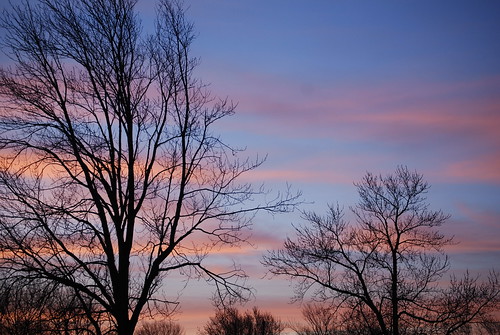 morning trees sky usa beautiful sunrise wow wonderful dawn us newjersey amazing nice nikon pretty unitedstates gorgeous awesome great nj excellent monmouthcounty lovely 2008 bayshore welldone 55200mm unionbeach d80 neloesteves zip07735
