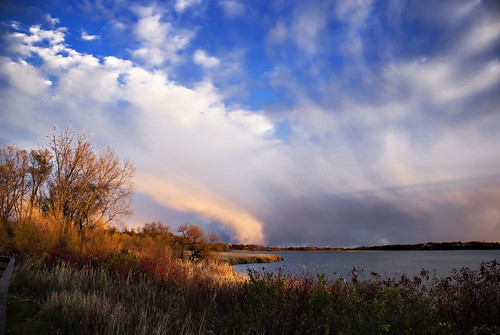 blue trees sunset sky orange brown white lake black water grass clouds cattails grasses