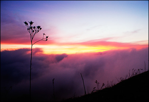 pink sunset sky italy silhouette fog clouds italia tramonto nuvole rosa cielo nebbia lazio zeppo castelliromani valerioi montecompatri