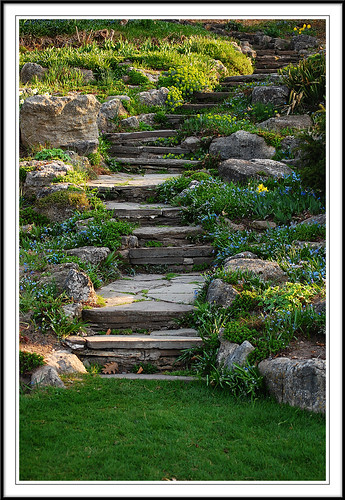 flowers lake ontario canada stone garden landscape nikon steps oakville d40 supershot platinumphoto cans2s 55200mmvr