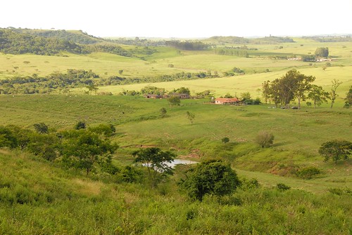 brazil countryside view farm paulo marilia são