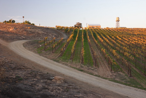 california sunset usa photo lenstagged vineyard 300d 1600squirrels drebel highway101 3x2 bicknell canon1755f28 santamariawinecountry