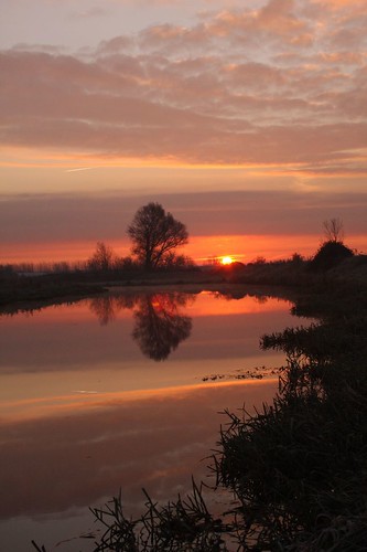 uk sunset red sky orange color colour tree nature water sunrise fen cambridgeshire cambs lakenheath bobhall