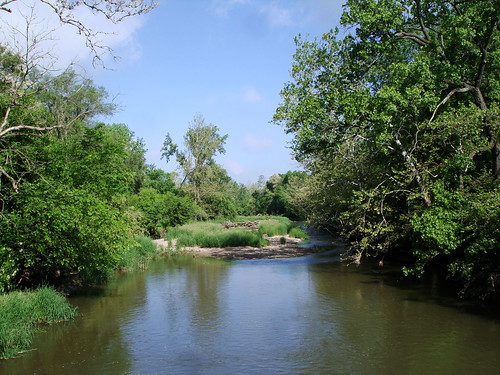 creek elililly