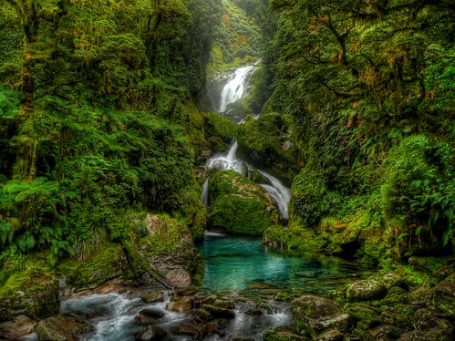 newzealand green nature landscape waterfall southisland milford hdr milfordtrack cotcpersonalfavorite challengeyouwinner pictobrowser macayfalls