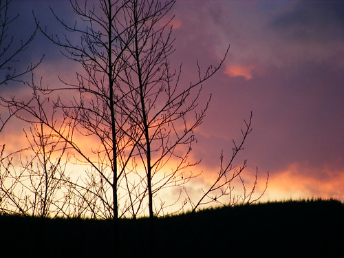 trees sunset mountain colour nature clouds soe blueribbonwinner