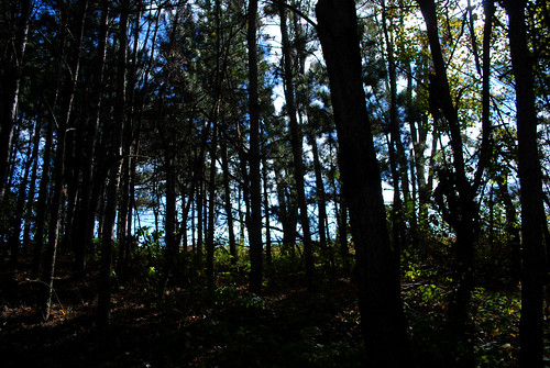 pinetrees unclejohnscidermill