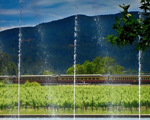 napa valley wine train vineyard grape vine fountain water alphaomegawinery