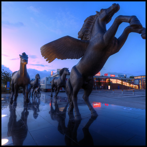 morning horses color statue sunrise square malmö hdr goodmorningmalmö