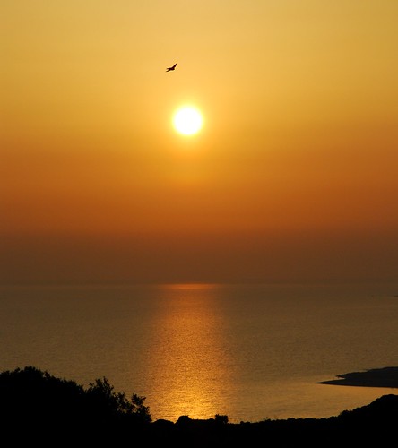sunset sea sun water birds nikon cyprus icarus d60 aplusphoto aphroditehills platinumheartaward quarzoespecial nikkor18105mm