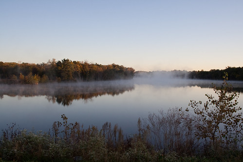 trees lake water fog sunrise landscape photography arcosphotography
