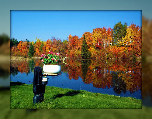 flowers trees fall colors pond autumnfall creamseperator mostbeautifulpictures
