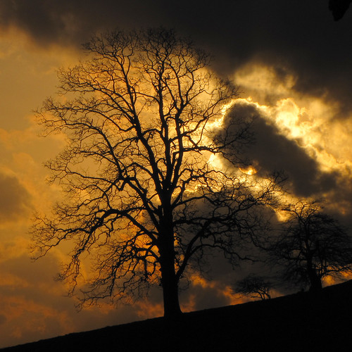 sunset cloud sun tree silhouette northcarolina westernnorthcarolina ccbyncsa moseshconememorialpark canonpowershotsx10is