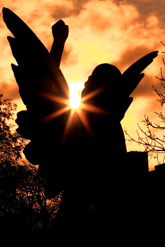 margravine cemetery london uk england angel sunset andreapucci canoneos60 hammersmith baronscourt fulham