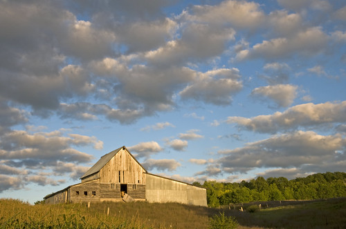 sunset sky usa field wisconsin clouds barn corn cornfield farm cornstalks hayward wi