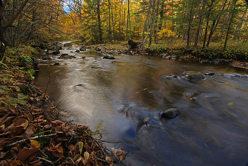 new autumn england fall water stream foliage