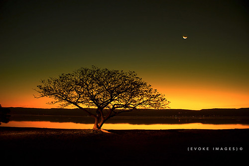 longexposure sunset sky sun moon lake tree water night geotagged glow australia nsw newsouthwales windang illawarra aplusphoto alemdagqualityonlyclub mathewsacco evokeimages geo:lat=34525046 geo:lon=150869518