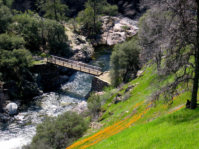 Foot Bridge, Sequoia Kings Canyon National Park