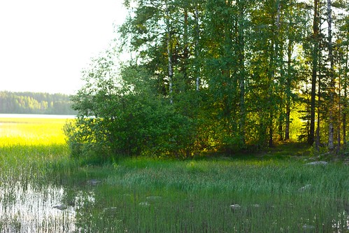sunset woods juhannus mökki näsijärvi visuvesi