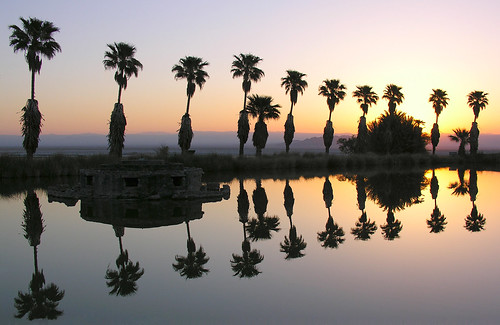 reflection nature sunrise palms landscape desert zzyzx tuendae