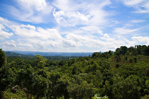 countryside scenic jamaica geotag