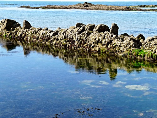 blue france reflection nature rock seaside panasonic bleu miroir reflexions noirmoutier rocher transparence algues vendée océan réflexion naturalsculpture borddemer