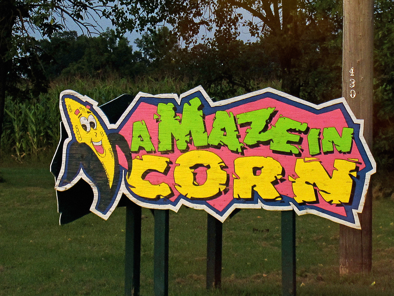a maze in corn